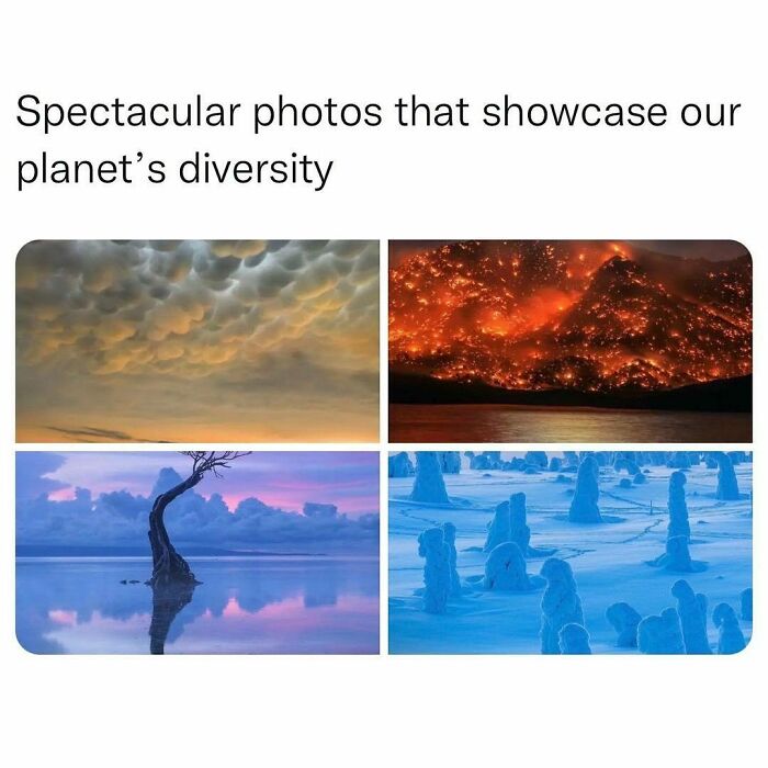 Wholesome-Memes-Hurtingsouls