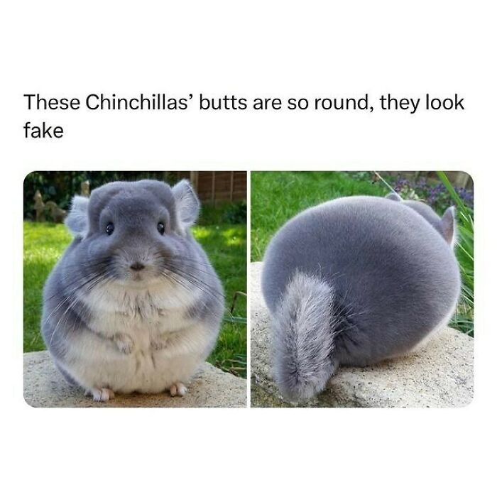 Wholesome-Memes-Hurtingsouls