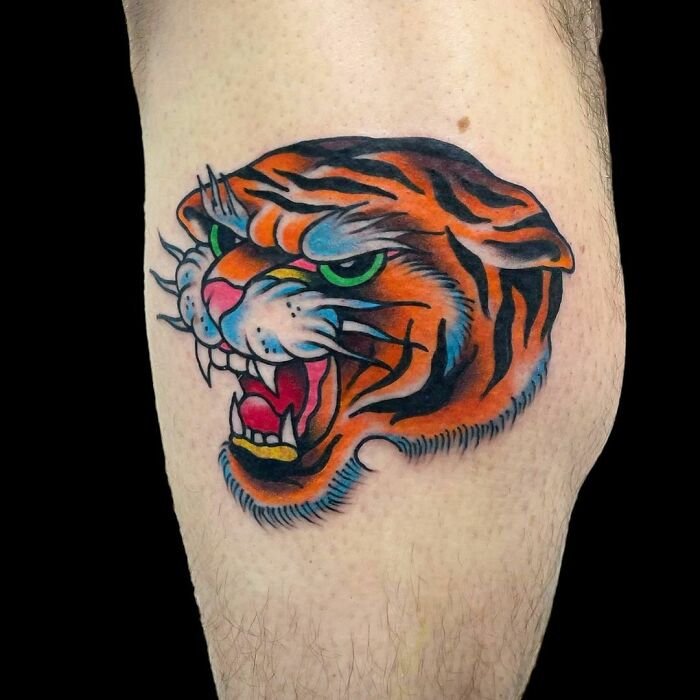 American traditional tattoo of a roaring tiger head on skin.