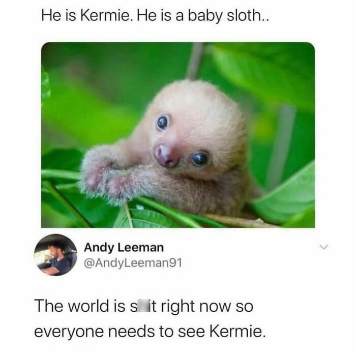 Wholesome-Memes-Hurtingsouls