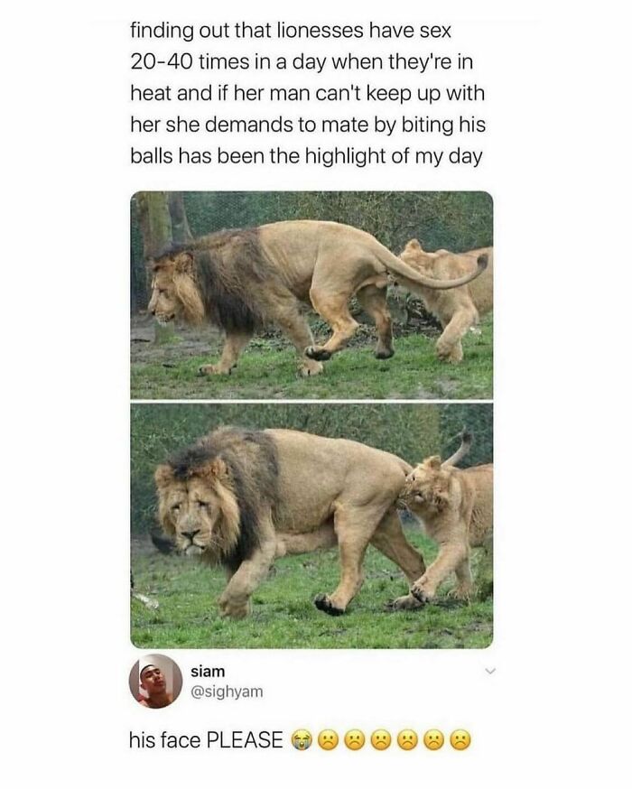 Wholesome-Memes-Hurtingsouls