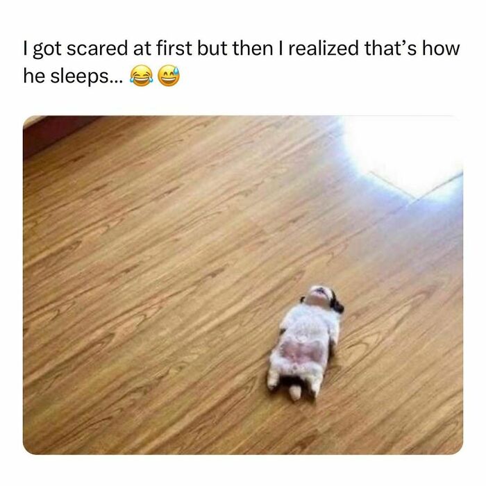 Wholesome-Memes-Hurtingsouls