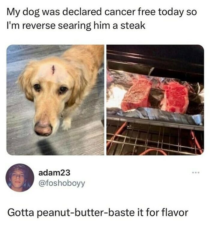 Wholesome-Memes-Hurtingsouls