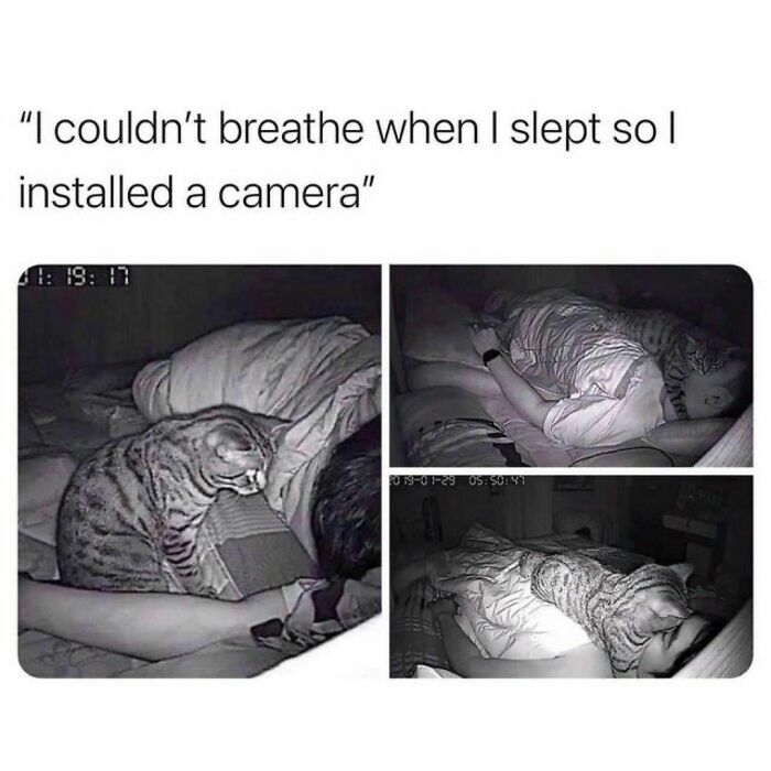 Wholesome-Memes-Hurtingsouls