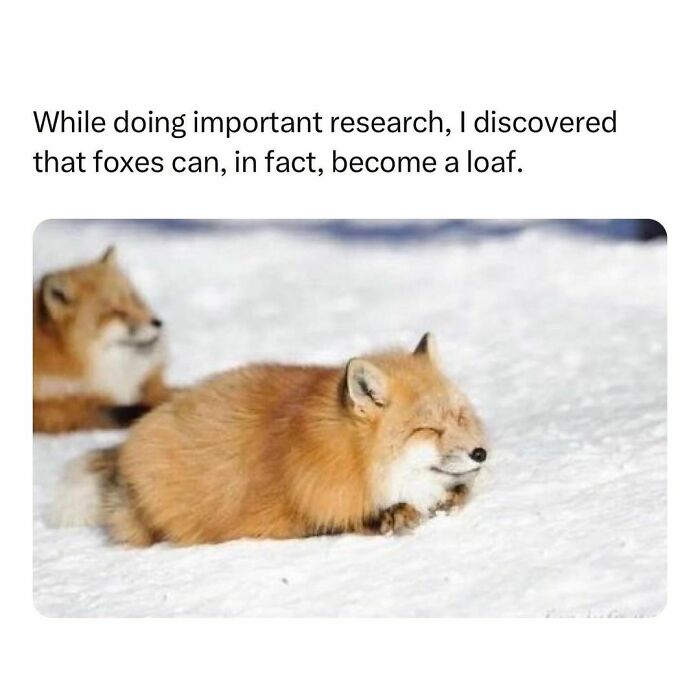 Wholesome-Memes-Hurtingsouls