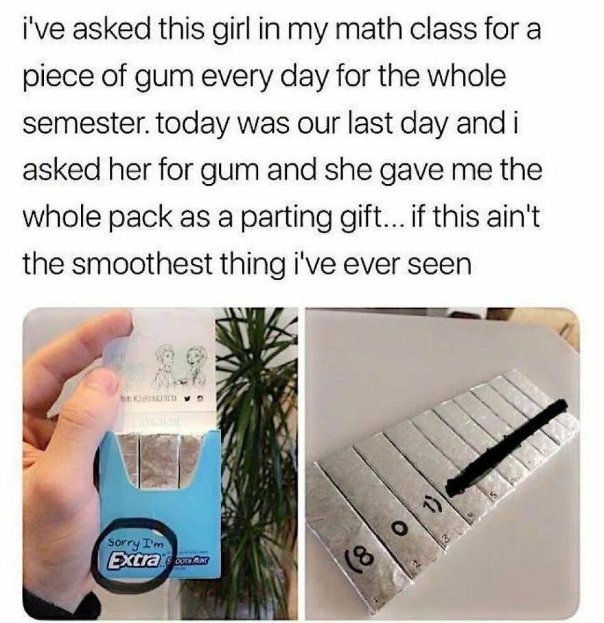 Wholesome Wholesome