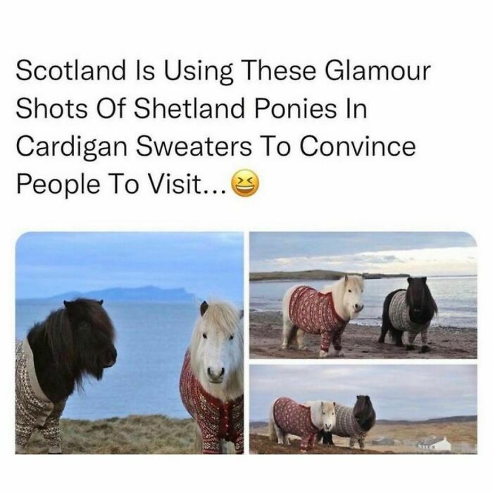 Wholesome-Memes-Hurtingsouls