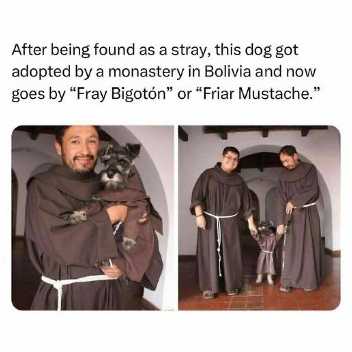 Wholesome-Memes-Hurtingsouls