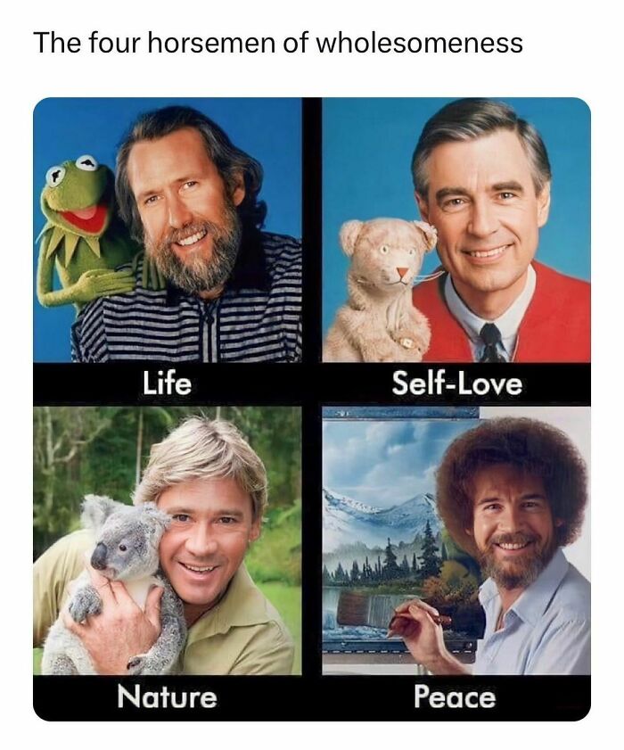 Wholesome-Memes-Hurtingsouls