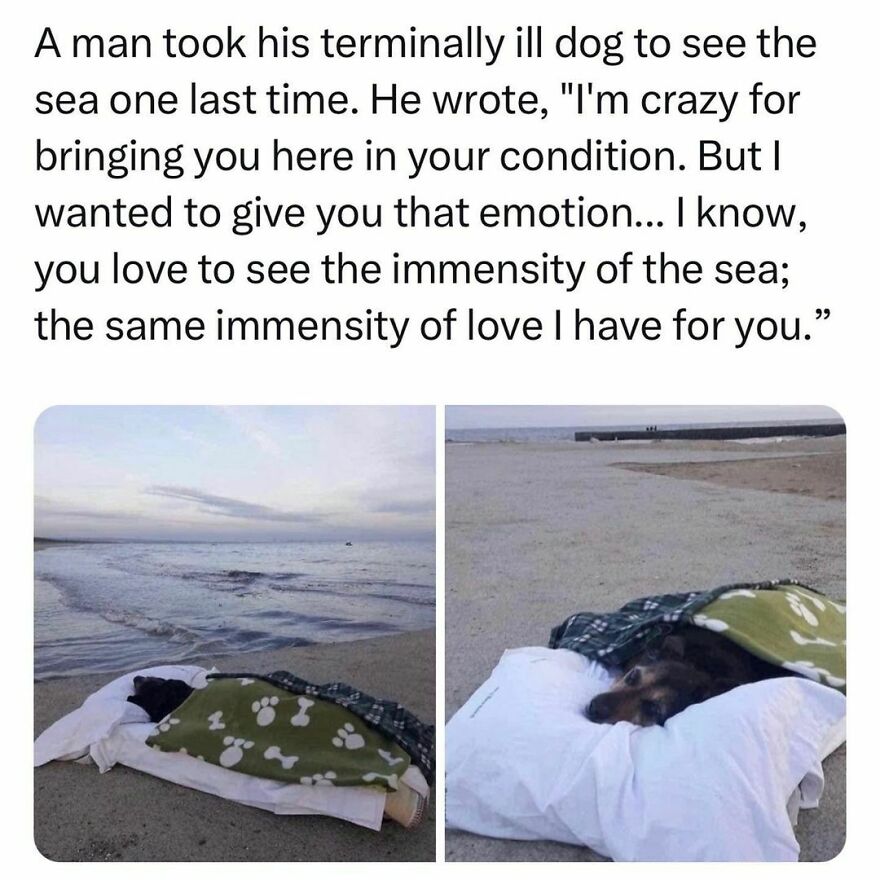 Can make a grown man cry Can make a grown man cry