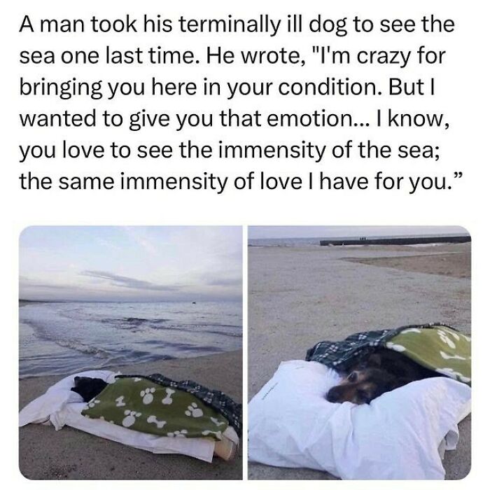 Wholesome-Memes-Hurtingsouls