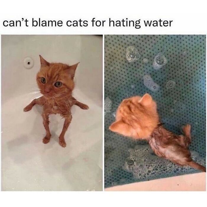 Wholesome-Memes-Hurtingsouls