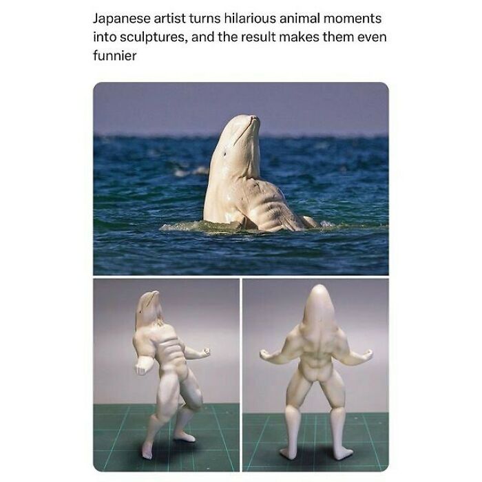 Wholesome-Memes-Hurtingsouls