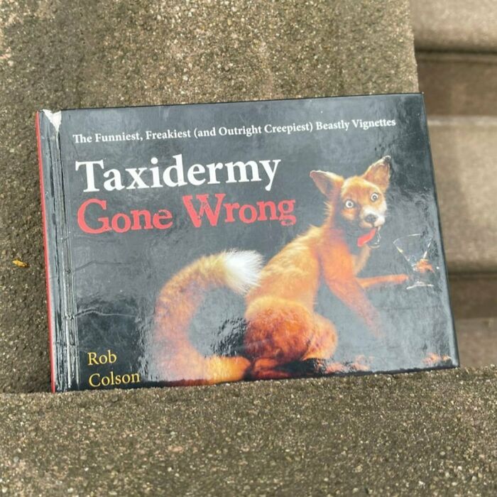 So Weird… I Was Just Thinking About This! (Said No One Ever). Kane Btw Henry And Cheever