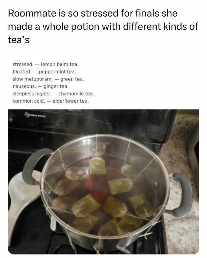 University life meme with pot on stove filled with various tea bags for stress relief during finals.