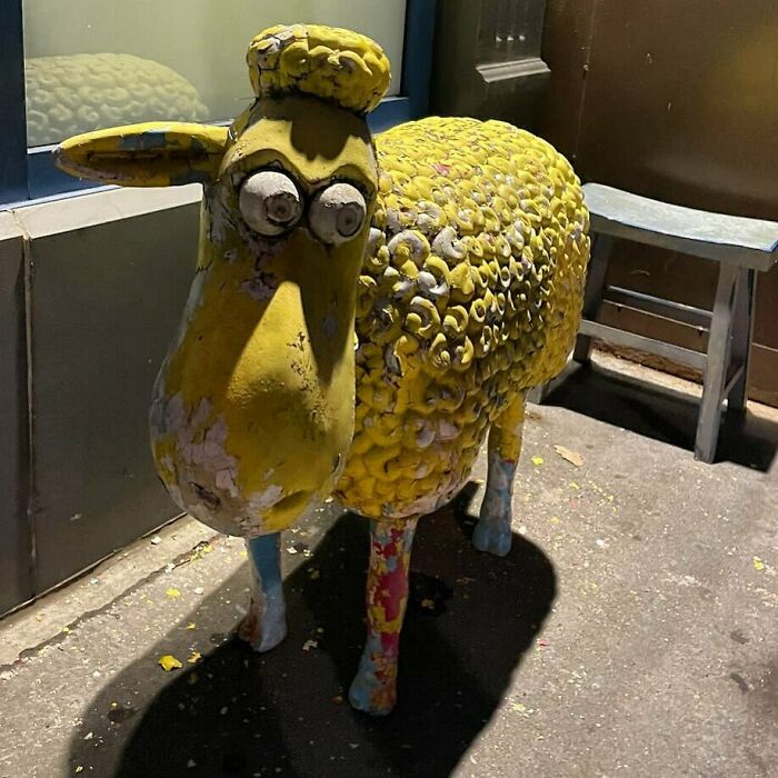 What. Is. Happening? Corner Of 76th And Columbus