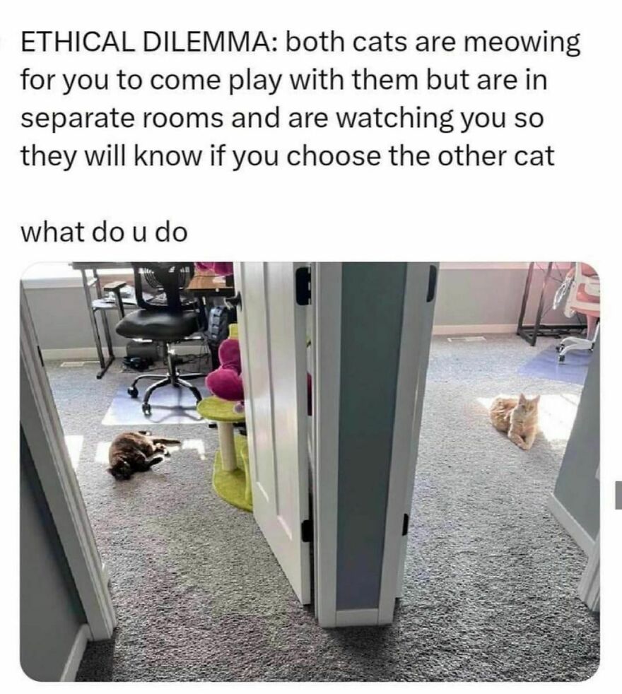 🤔🤔 🤔🤔