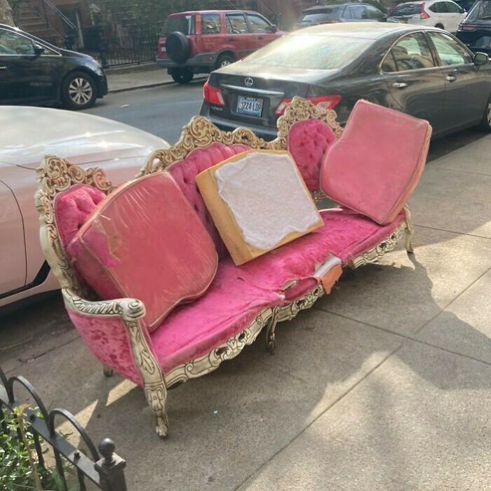 Omg. This Is Literally Royal S**t! In Front Of 249 13th Street In Park Slope!