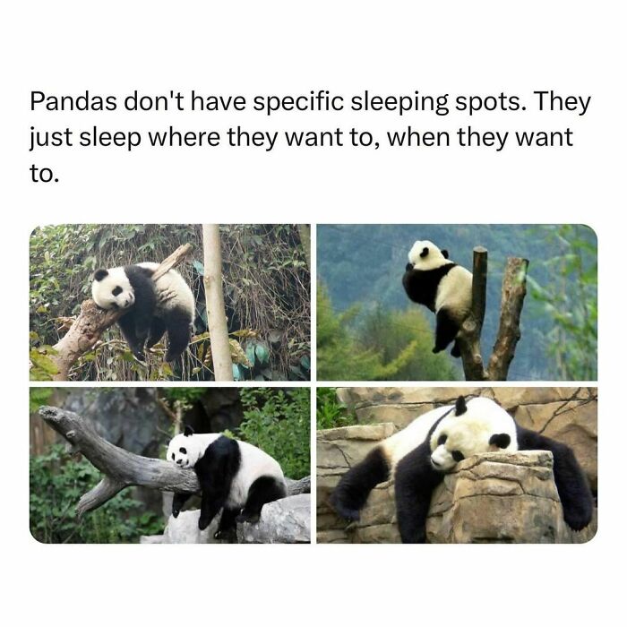 Wholesome-Memes-Hurtingsouls