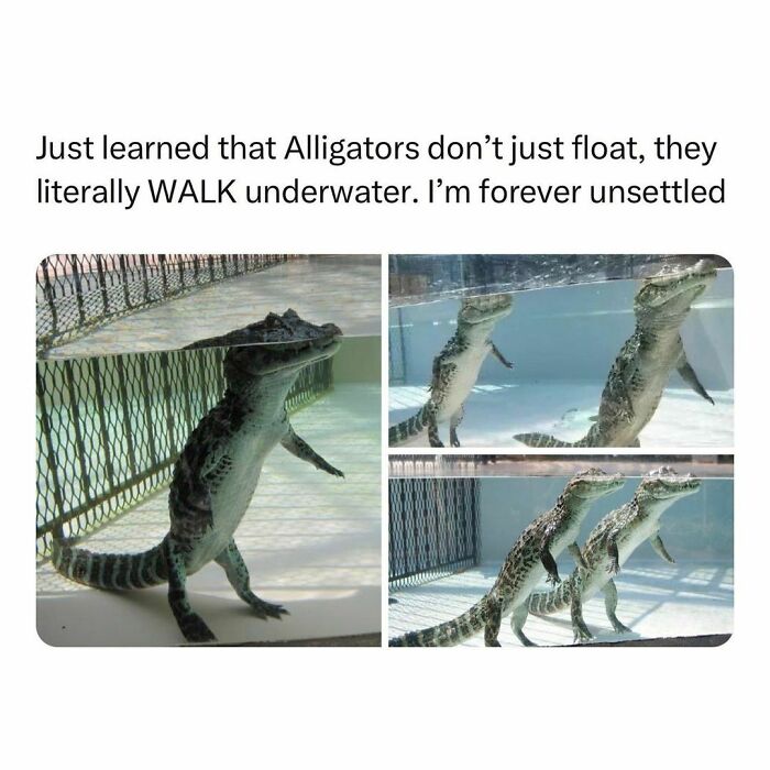 Wholesome-Memes-Hurtingsouls