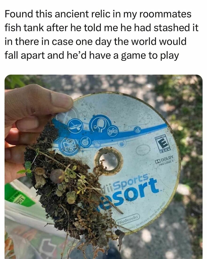 An absolute gem An absolute gem