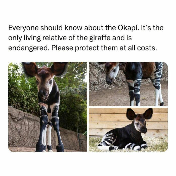 Wholesome-Memes-Hurtingsouls