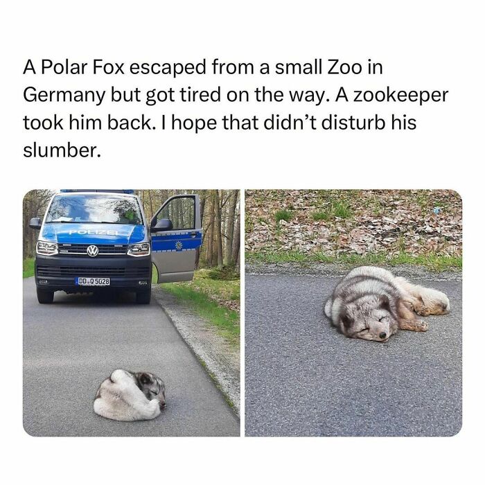 Wholesome-Memes-Hurtingsouls