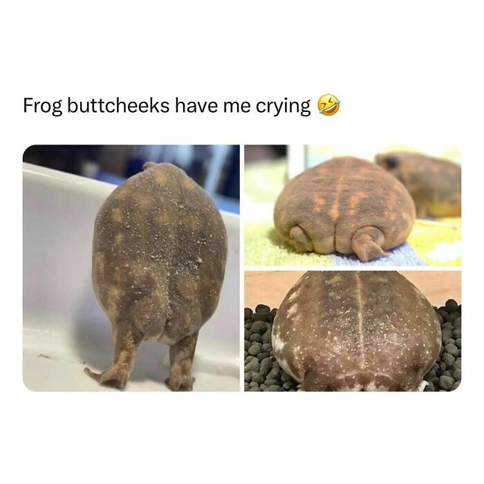 Wholesome-Memes-Hurtingsouls