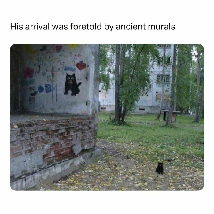 Wholesome-Memes-Hurtingsouls