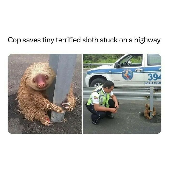 Wholesome-Memes-Hurtingsouls