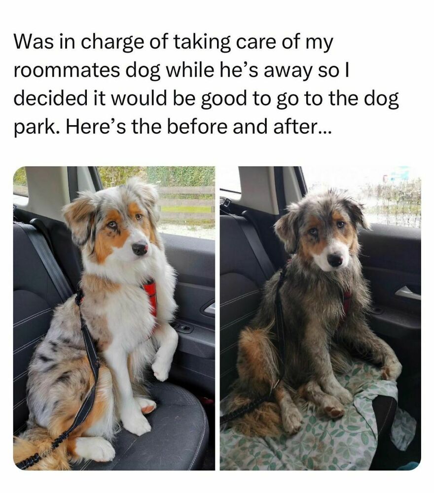 Are you sure you took back the right one?