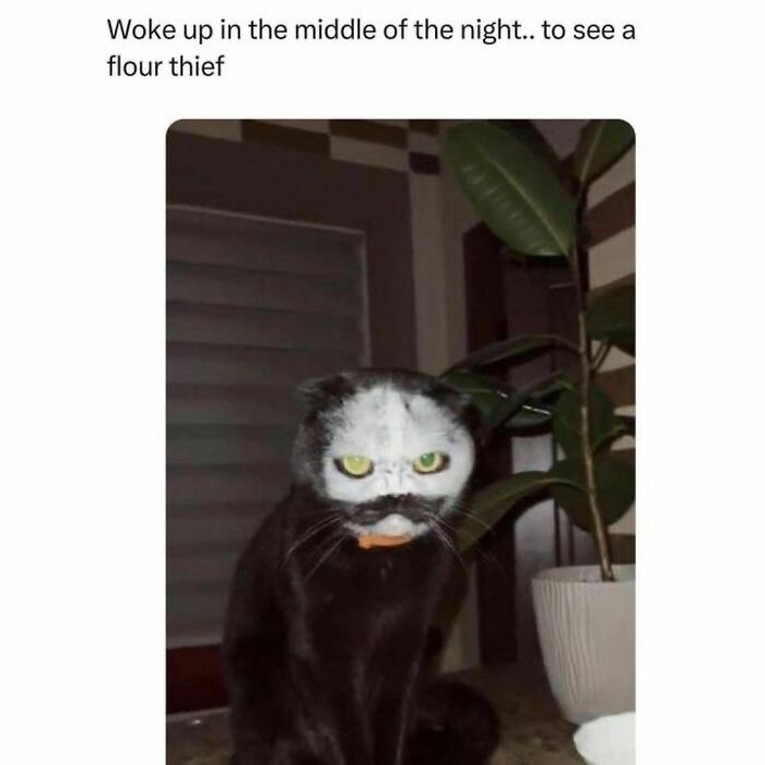 Wholesome-Memes-Hurtingsouls