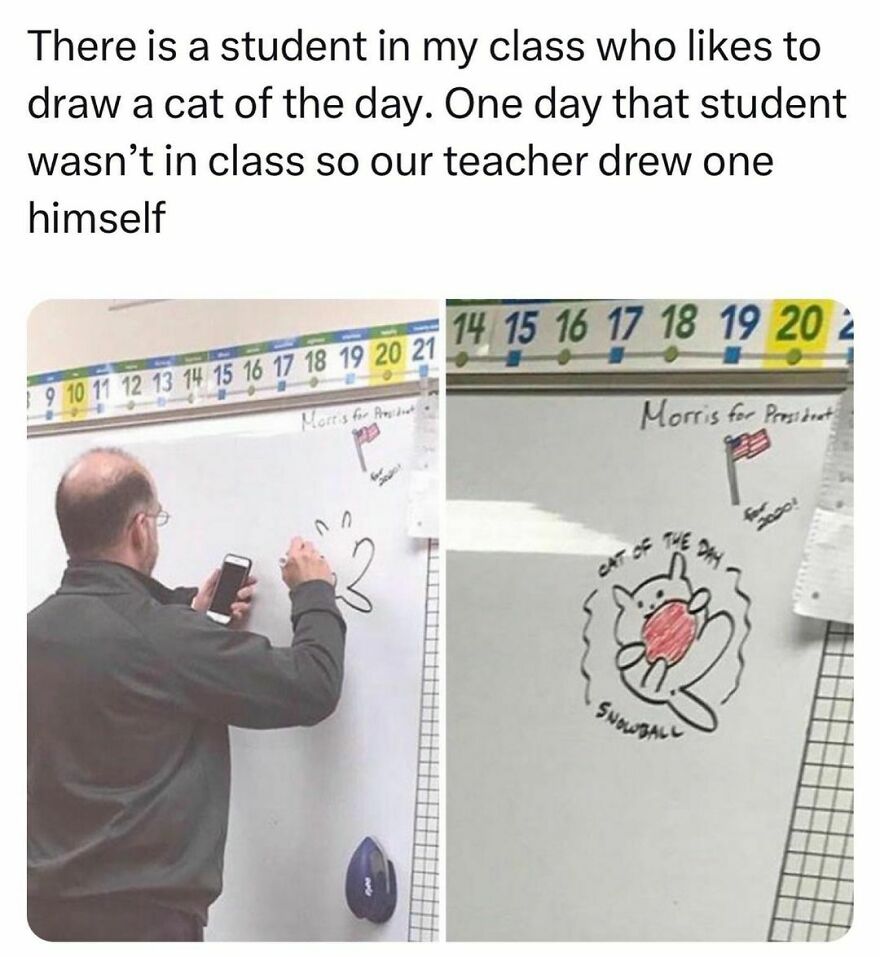 Wholesome Wholesome