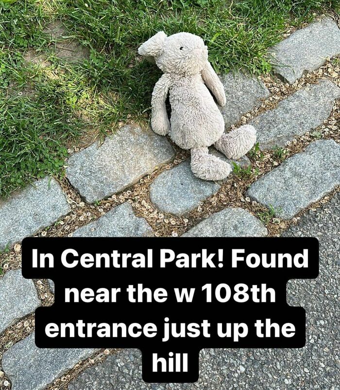 This Is Maybe Our Most Important Stoop! Some Little One Is Very Sad Missing This Lovey! Please Share! 