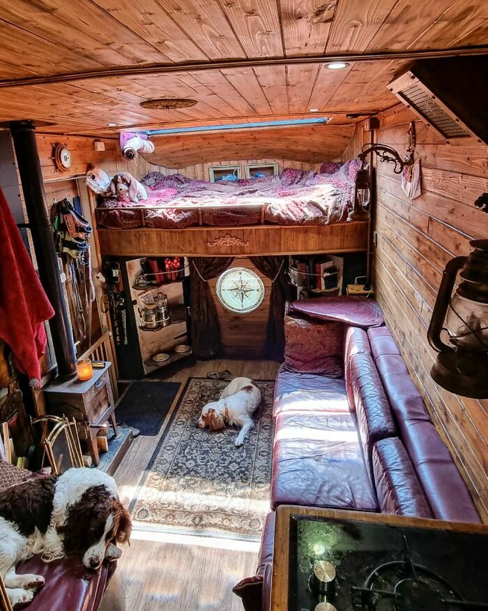 Cozy tiny house interior with wooden walls, loft bed, couch, and two dogs relaxing on the floor and couch.