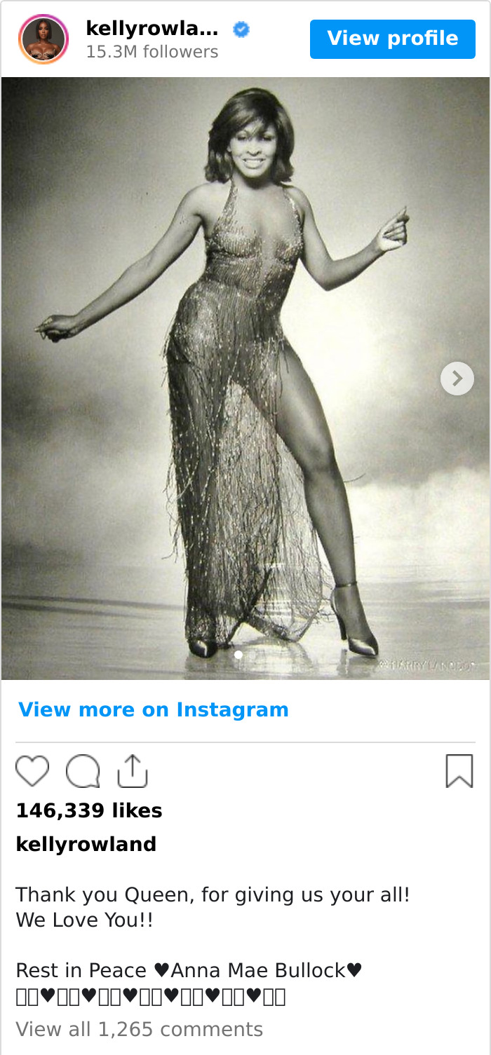 Tina-Turner-Tributes