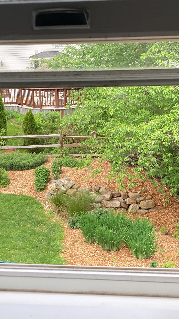 Just My Dad’s Garden In The Back, Nothing Really Interesting