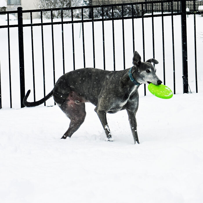 Lost His Leg To Cancer But Still Going Strong