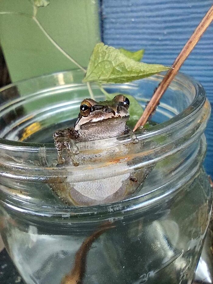 Check Out This Handsome Fellow Taking A Dip In A Propagating Plant On This Unseasonably Warm Day