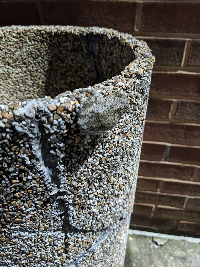 Himb Is Hidden U Cannot See