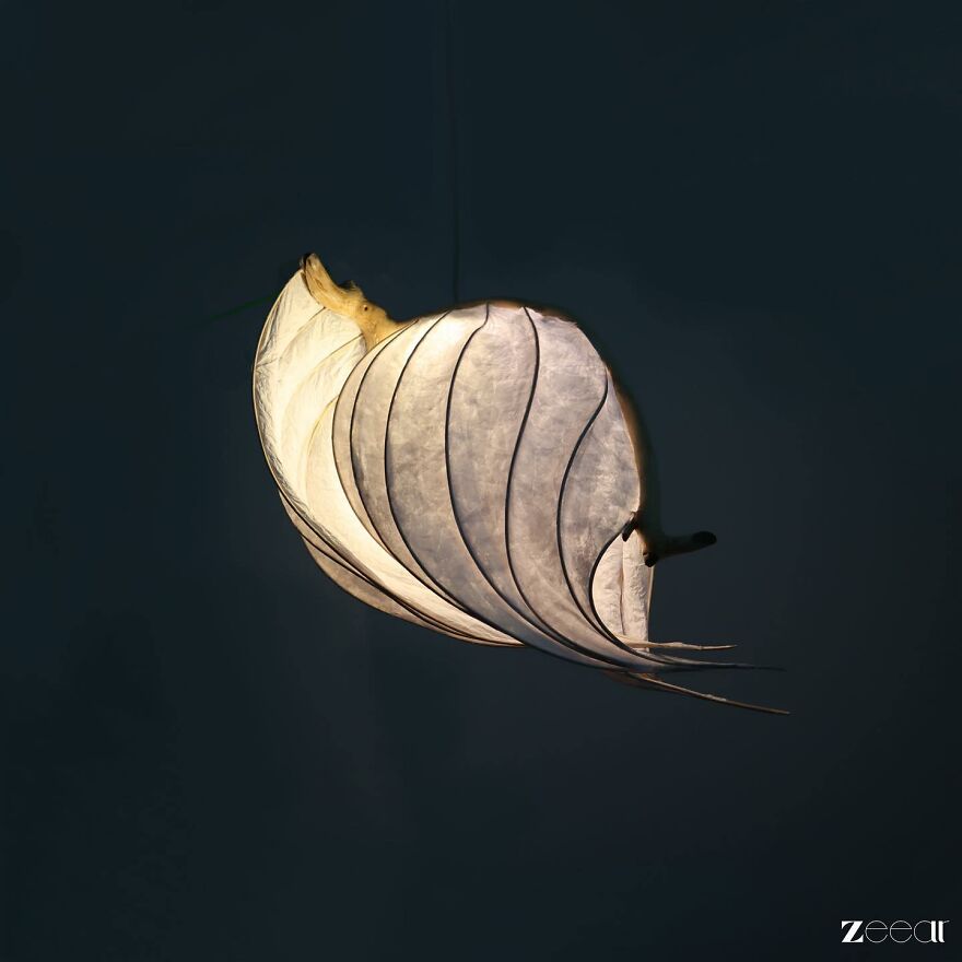 From My Imagination To Illumination (15 Pics)