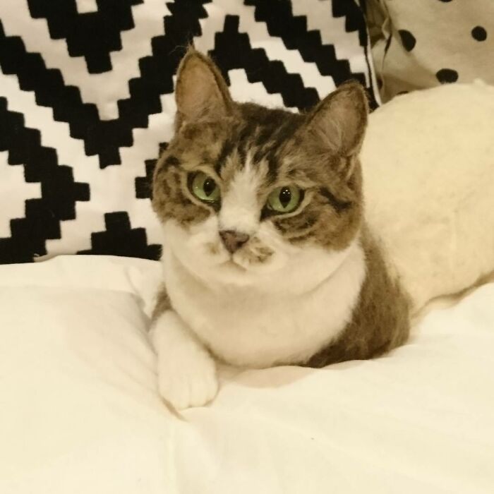 Hard To Believe These Animals Are Not Real But Made Of Wool (New Pics)