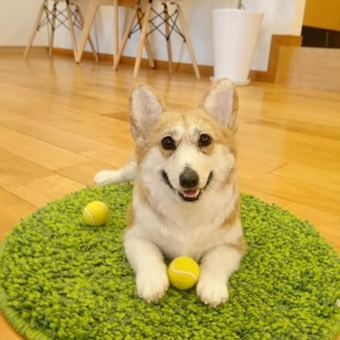 Hard To Believe These Animals Are Not Real But Made Of Wool (New Pics)