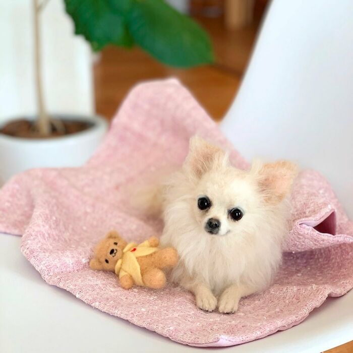 Hard To Believe These Animals Are Not Real But Made Of Wool (New Pics)