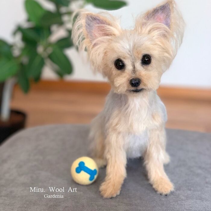 Hard To Believe These Animals Are Not Real But Made Of Wool (New Pics)