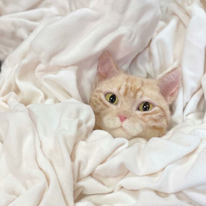 Hard To Believe These Animals Are Not Real But Made Of Wool (New Pics)