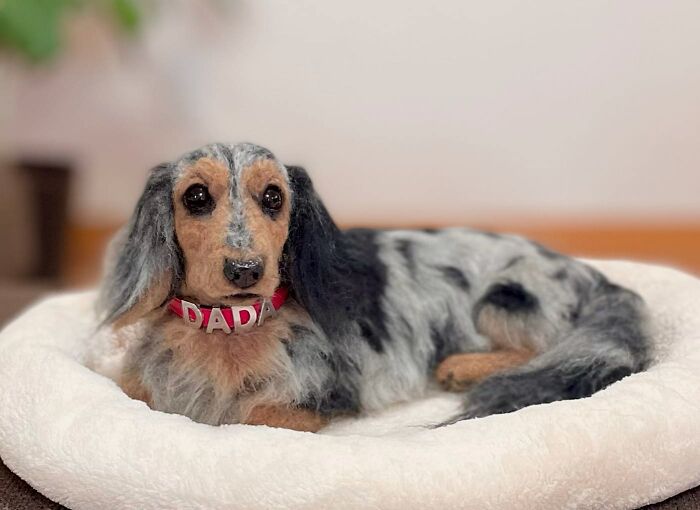 Hard To Believe These Animals Are Not Real But Made Of Wool (New Pics)