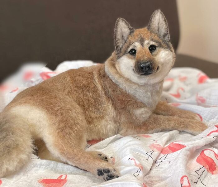 Hard To Believe These Animals Are Not Real But Made Of Wool (New Pics)