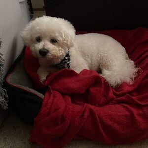 elizabethbeilharz avatar