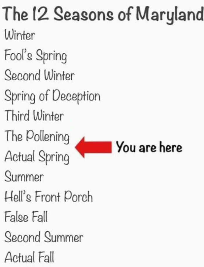 There Were Only Supposed To Be 4!!!!